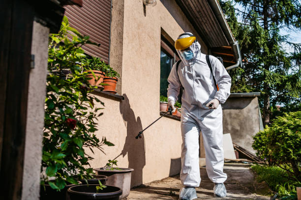 Best Flea Control Services  in Logansport, IN