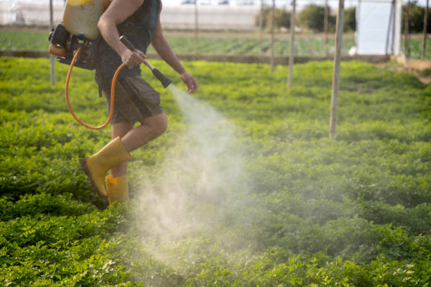 Best Local Pest Control Services  in Logansport, IN