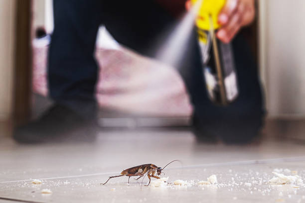 Insect Control in Logansport, IN