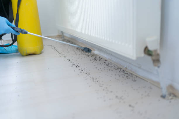 Best Commercial Pest Control Services  in Logansport, IN